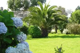 jardin jigsaw puzzle