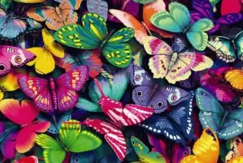 mariposas