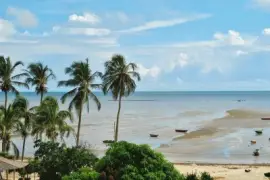 Litoral do Piaui jigsaw puzzle