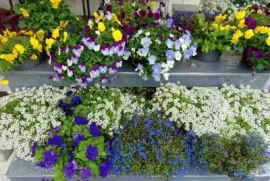 Flores diversas jigsaw puzzle