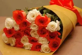 imagens jigsaw puzzle