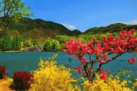 imagens jigsaw puzzle