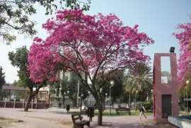 La Banda. Santiago del Estero. Argentina jigsaw puzzle