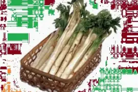 ã†ã© jigsaw puzzle