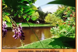 SALDUERO (SORIA) â€“ PARAJE NATURAL MUY BELLO jigsaw puzzle