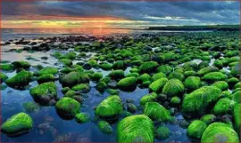 ATARDECER jigsaw puzzle