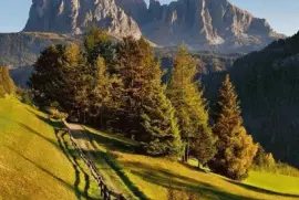 imagens jigsaw puzzle