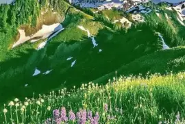 imagens jigsaw puzzle