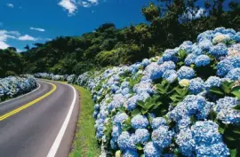 imagens jigsaw puzzle