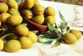 Olives