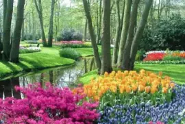 jardÃ­n holandÃ©s