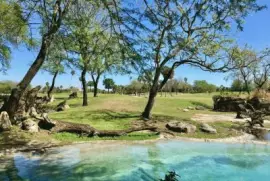 imagens jigsaw puzzle