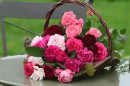 imagens jigsaw puzzle