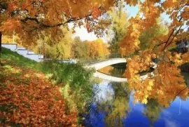 imagens jigsaw puzzle