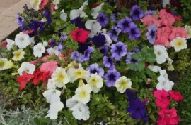 mallorca jigsaw puzzle