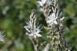 mallorca jigsaw puzzle