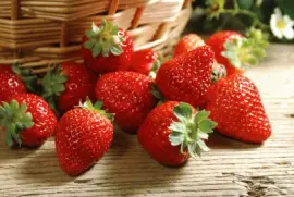 å¯å£è‰èŽ“ jigsaw puzzle