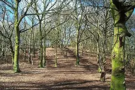 Stapleford Hill jigsaw puzzle