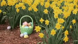 Â¡  Felices Pascuas !