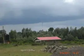 NANYUKI jigsaw puzzle