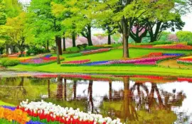 parque con flores jigsaw puzzle