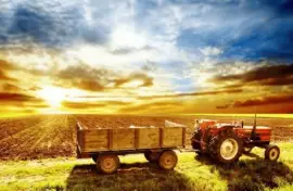 imagens jigsaw puzzle