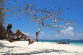 imagens jigsaw puzzle