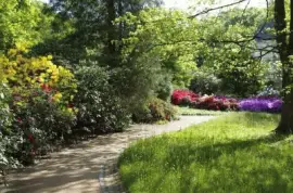 parque jigsaw puzzle