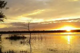 Costa del rio uruguay. URUGUAY jigsaw puzzle