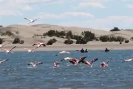 Caleta en la Provincia de RÃ­o Negro. Argentina jigsaw puzzle