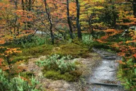PN Tierra del Fuego. Argentina jigsaw puzzle