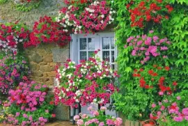 ventana con flores jigsaw puzzle