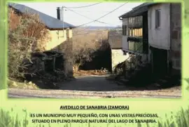 AVEDILLO DE SANABRIA (ZAMORA) jigsaw puzzle