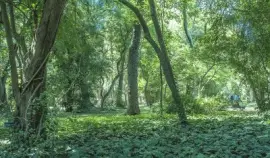 En Palermo. Ciudad de Buenos Aires. Argentina jigsaw puzzle