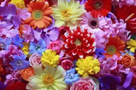 æ’²é¼»èŠ±é¦™ jigsaw puzzle