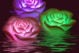 fosforescente jigsaw puzzle