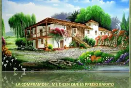 LA COMPRAMOS?.  ME DICEN QUE ES PRECIO BARATO