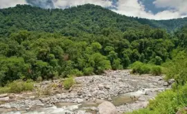 Reserva Los Sosa. TucumÃ¡n. Argentina jigsaw puzzle