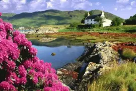 NATUREZA jigsaw puzzle