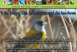 DÃ­a Internacional de las Aves