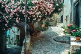 todo paisaje jigsaw puzzle