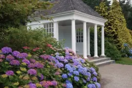 todo paisaje jigsaw puzzle