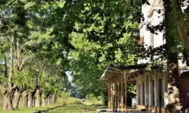 Villars. Buenos Aires. Argentina jigsaw puzzle