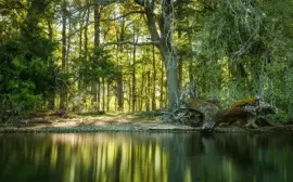 Paraje PucarÃ¡. NeuquÃ©n. Argentina jigsaw puzzle