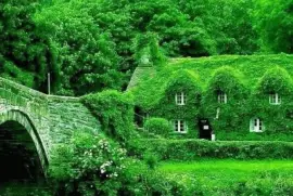 favorite jigsaw puzzle