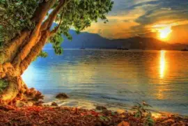 imagens jigsaw puzzle