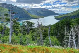 Lago Escondido. Tierra del Fuego. Argentina jigsaw puzzle