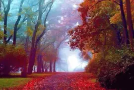 פאזל של todo paisaje