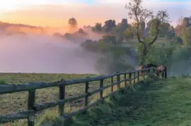 פאזל של Dawn mist