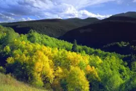 פאזל של imagens